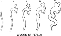 Urologia Figura 1